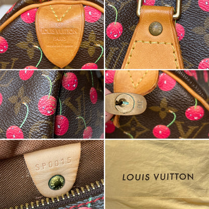 Louis Vuitton Takashi Murakami Cherry Speedy 25